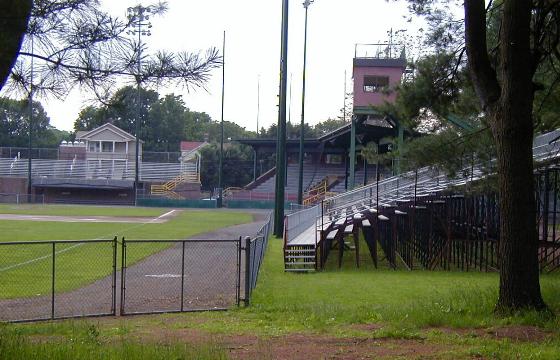 muzzy field